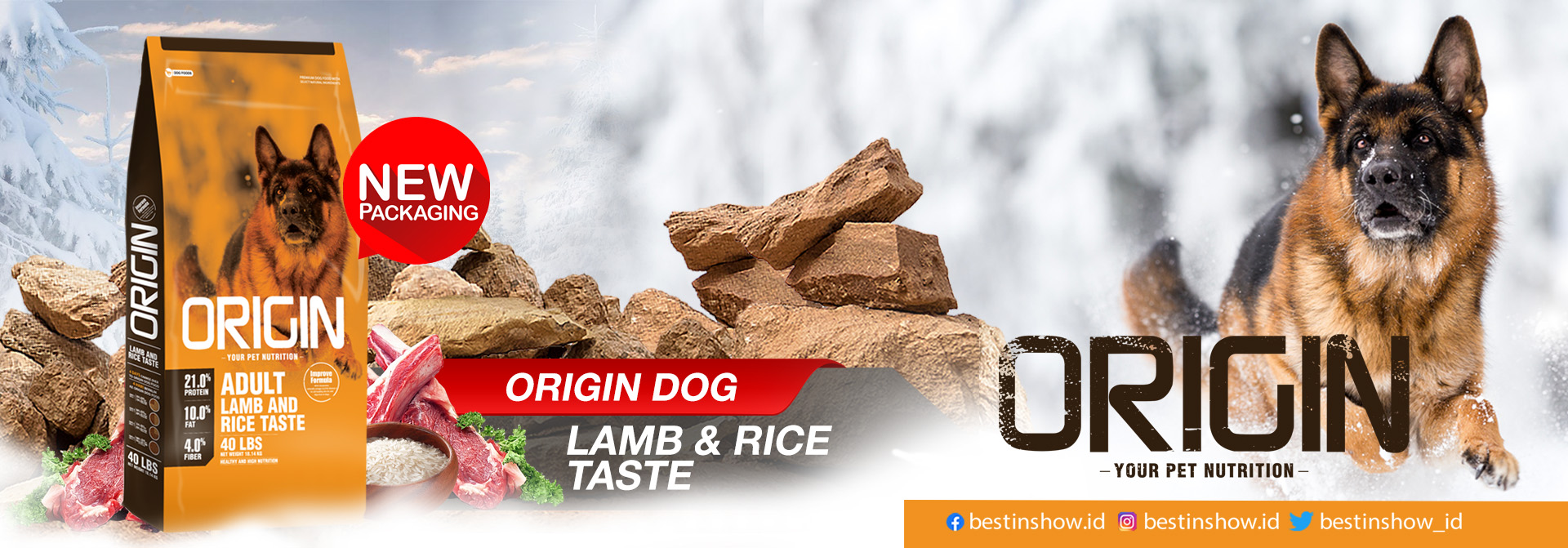 Banner - Dog - Best In Show - Best Pet Food For Your Pet