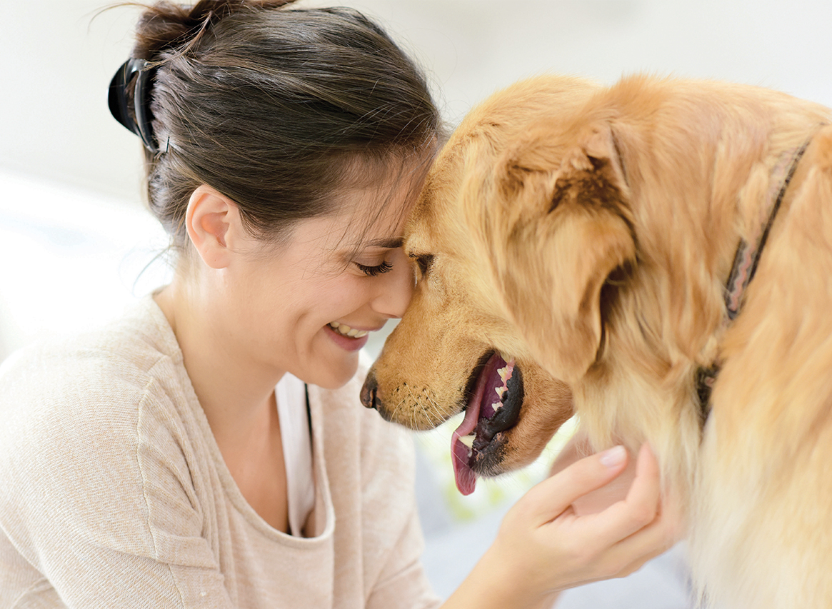 Pet Dog - Best In Show - Best Pet Food For Your Pet