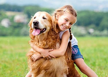 Grain Free Food - Best In Show - Best Pet Food For Your Pet
