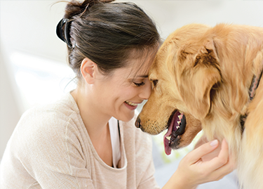 Super Premium - Best In Show - Best Pet Food For Your Pet