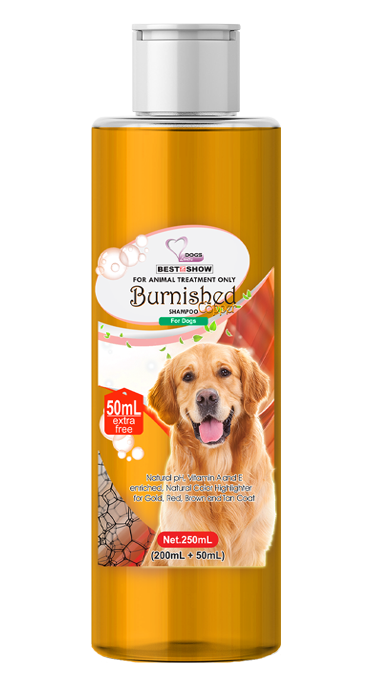 Shampoo Dog - Shampoo Dog - BIS Burnished Copper - 250 ml Tinted Brown - Best In Show - Best Pet Food For Your Pet